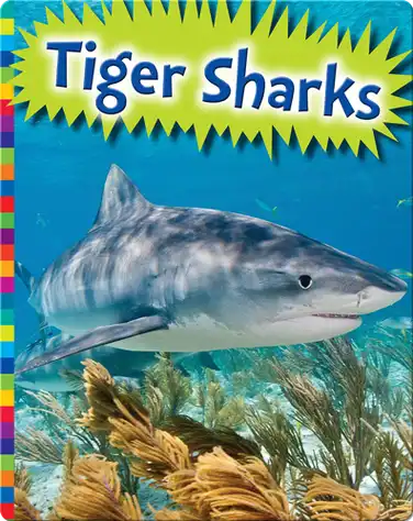 Tiger Sharks book