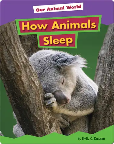 How Animals Sleep book