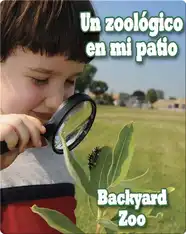 Un Zoologico En Mi Patio  (Backyard Zoo)