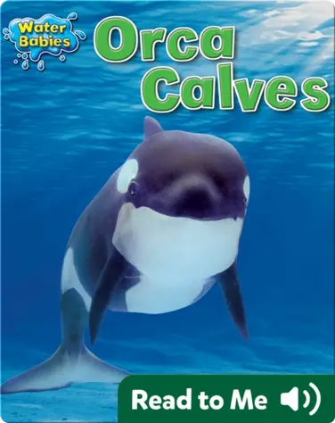 Orca Calves book