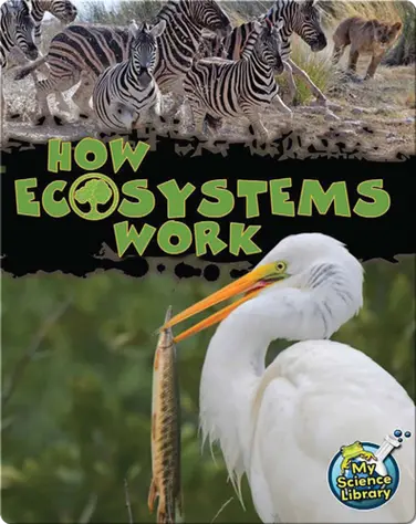 How Ecosystems Work book