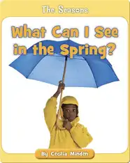 What Can I See in the Spring?