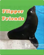 Flipper Friends