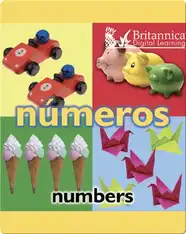 Números (Numbers)