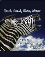 Howl, Growl, Mooo, Whooo, A Book of Animal Sounds