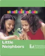 Little Neighbors