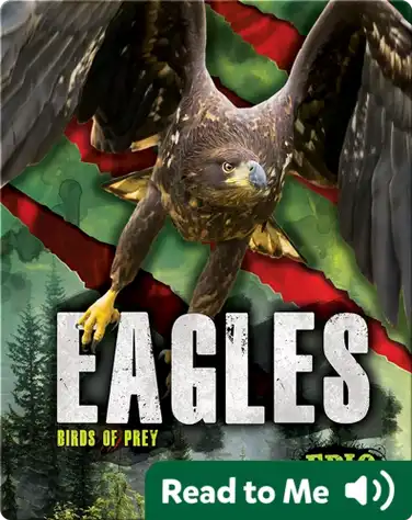 Eagles book