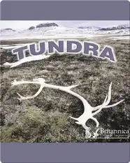 Tundra