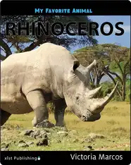 My Favorite Animal: Rhinoceros