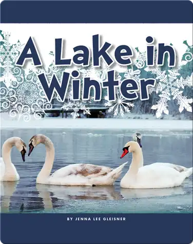 A Lake in Winter book