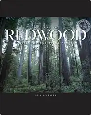 Welcome to Redwood National and State Parks