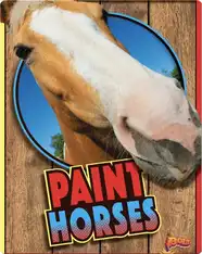 Paint Horses