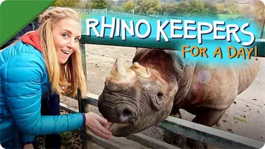 Rhino Keepers for a Day! book