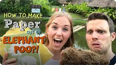 How to make Paper out of Elephant Poo?! book