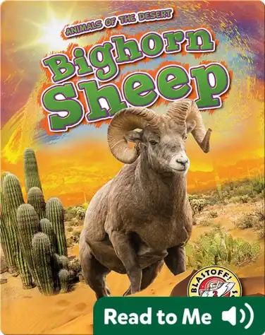 Bighorn Sheep book