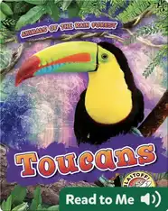 Toucans