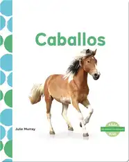 Caballos