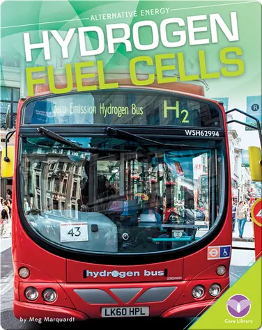 Hydrogen Fuel Cells book