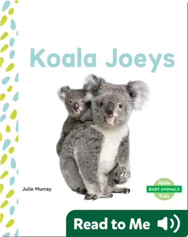 Koala Joeys book
