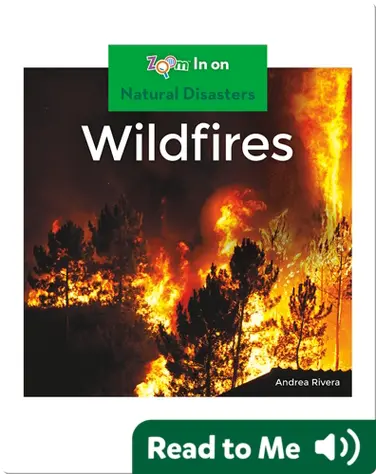 Wildfires book