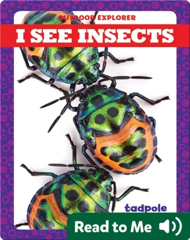 I See Insects book
