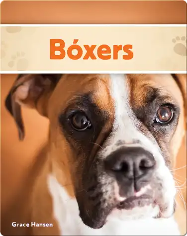 Bóxers book