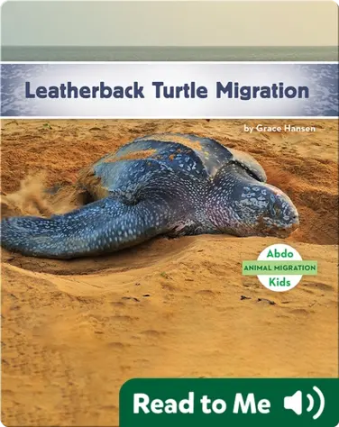 Leatherback Turtle Migration book