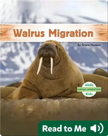 Walrus Migration book