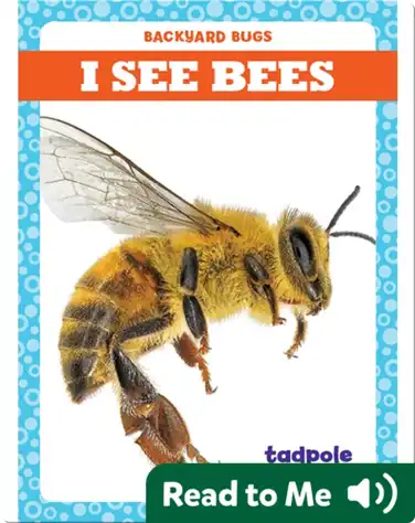 I See Bees book