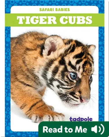 Tiger Cubs book