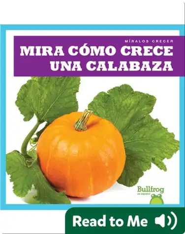 Mira cómo crece una calabaza (Watch a Pumpkin Grow) book