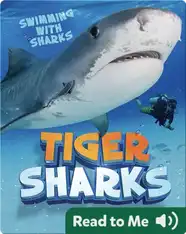 Tiger Sharks