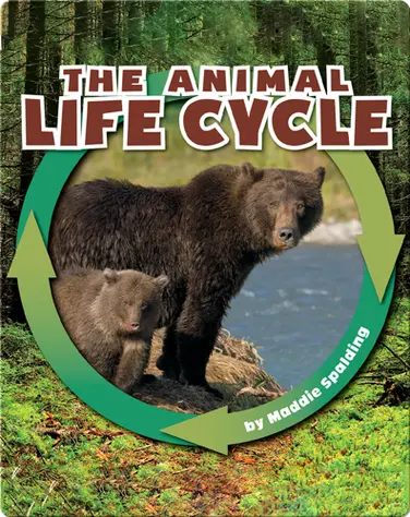 The Animal Life Cycle book