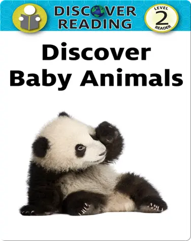 Discover Baby Animals book
