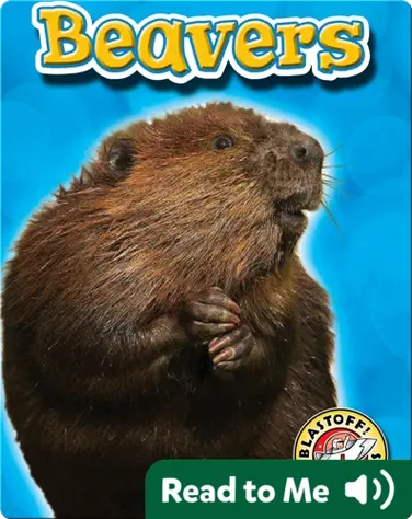 Beavers: Backyard Wildlife book