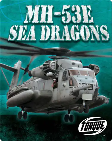 MH-53E Sea Dragons book