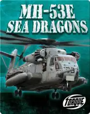 MH-53E Sea Dragons