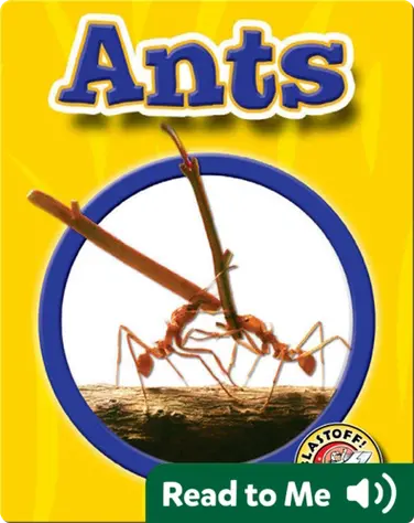 World of Insects: Ants book
