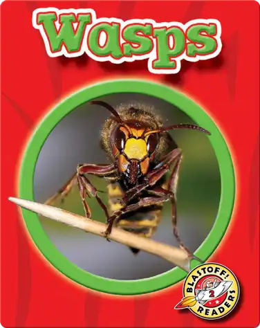 World of Insects: Wasps book