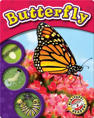 The Life Cycle of a Butterfly book