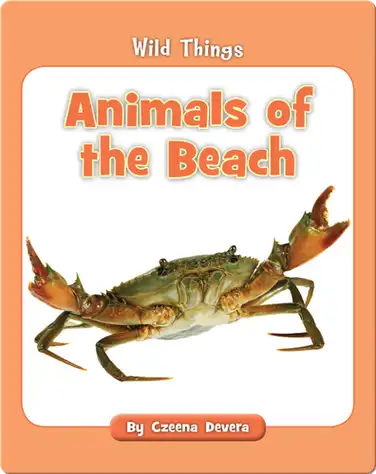 Animals of the Beach book