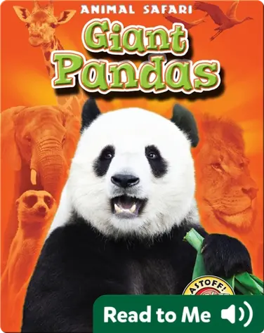 Giant Pandas: Animal Safari book