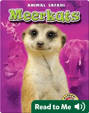 Meerkats: Animal Safari book
