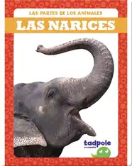 Las partes de los animales: Las narices