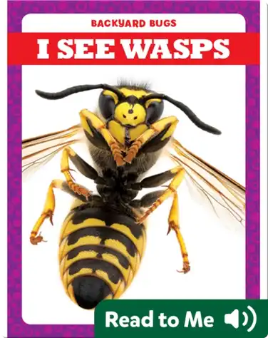 I See Wasps book
