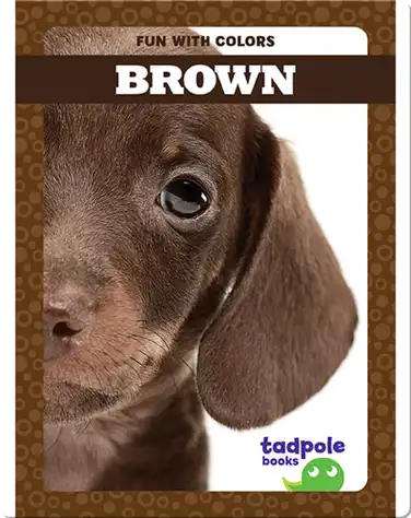 Fun with Colors: Brown book