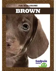 Fun with Colors: Brown