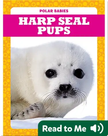 Polar Babies: Harp Seal Pups book