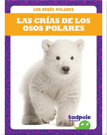 Las crías de los osos polares book