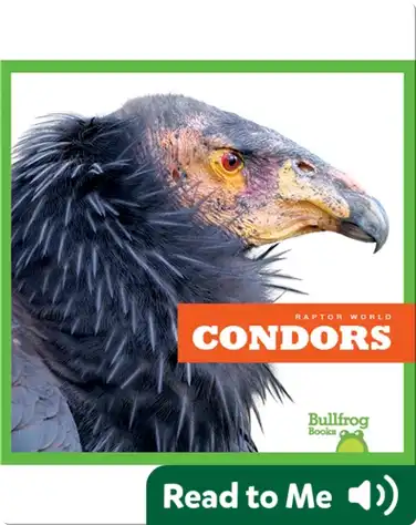 Raptor World: Condors book